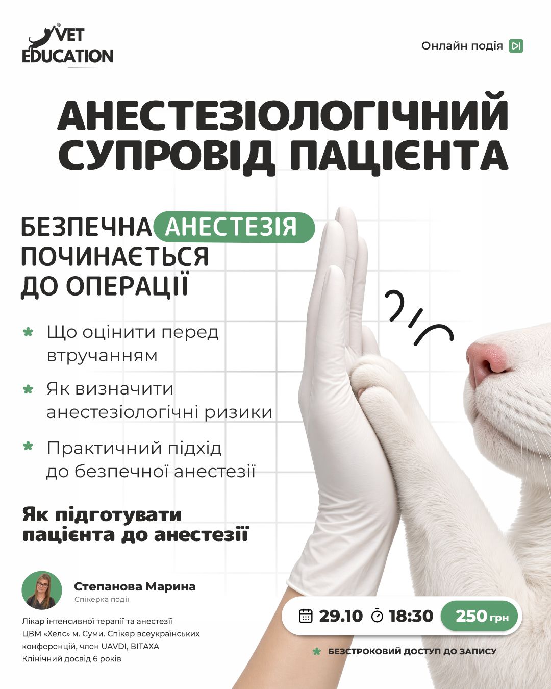 29.10 анест